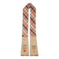 thumbnail image 1 of Design Imports CAMZ13306 Thanksgiving Leftovers Kitchen Towel & Scarf, 1 of 4