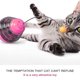 thumbnail image 5 of Vaso de bola con fugas para mascotas, palo divertido para gatos, magenta oscilante Xemadio 2034919-4, 5 of 8
