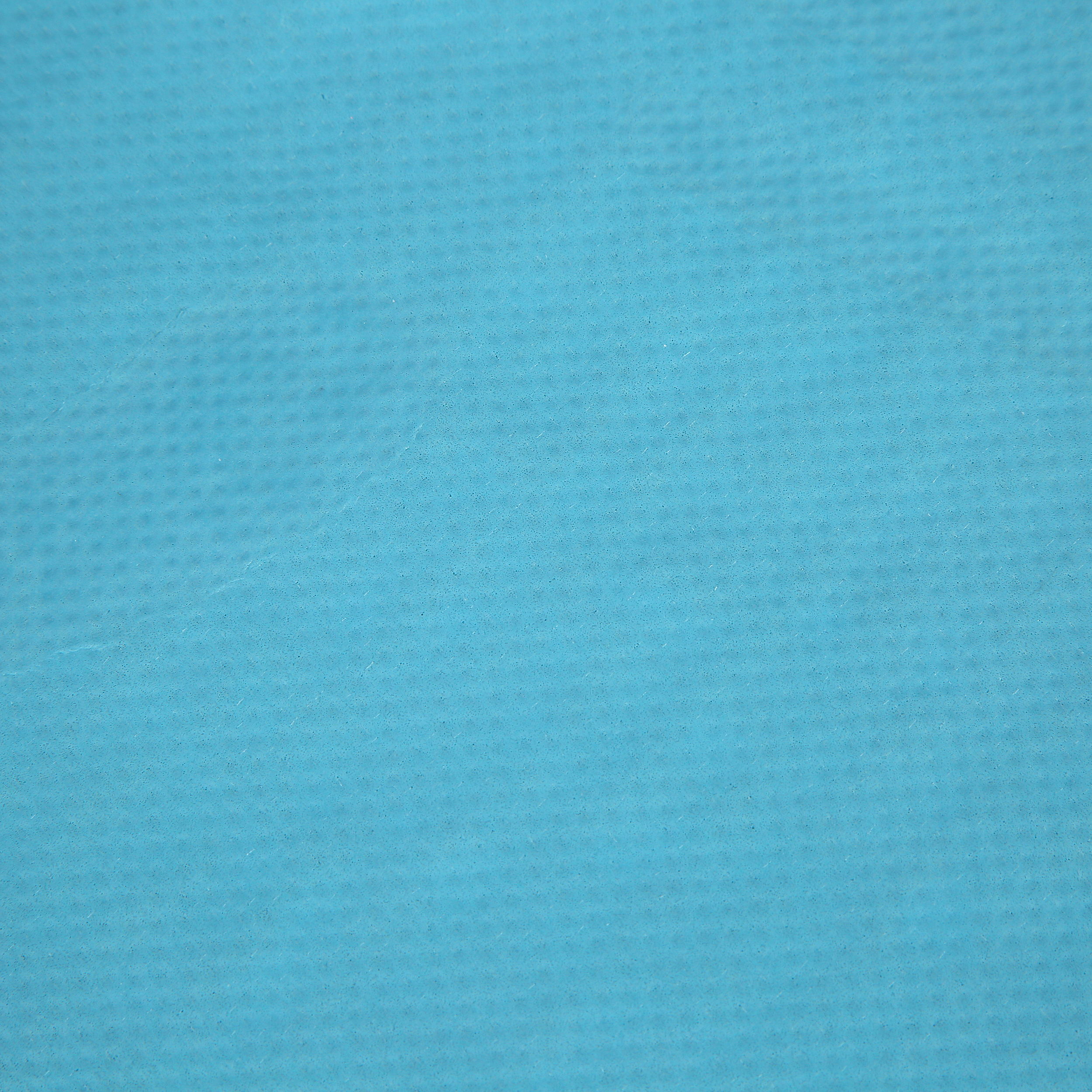 Fresh Step Blue Cat-Shaped Litter Box Mat photo 5