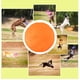thumbnail image 4 of Disco volador de perro-para perros L-juguetes de goma suave para entrenar-platillo volador resistente para mascotas-juguete volador ligero e - Naranja 18cm Sunnimix Plato de animales, 4 of 8