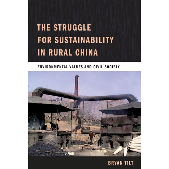 The Struggle for Sustainability in Rural China: Environmental Values and Civil Society, (Paperback)