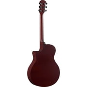 APX600M Acoustic-Electric Guitar