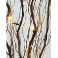thumbnail image 2 of Natural Willow Twig Lighted Branch for Home Decoration, 36'', USB Plug-in and Battery Powered, 2 of 6