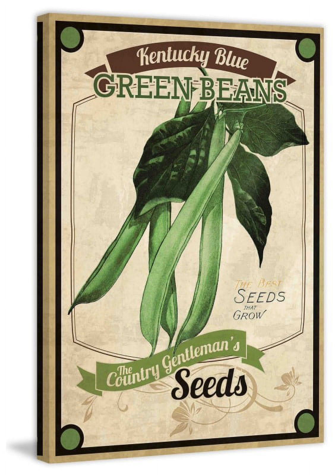 Marmont Hill "Seed Packet Green Beans" Painting Print on Canvas