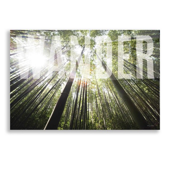 Epic Art 'Wander' by Susan Ball, Acrylic Glass Wall Art, 16"x12"