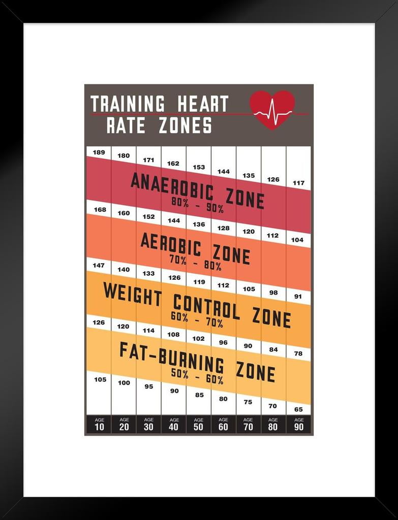 Workout Home Gym Training Heart Rate Zones Gym Fitness Cardio Athletic
