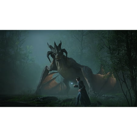 Hogwarts Legacy Standard Edition - PlayStation 4