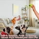 thumbnail image 2 of Pelotas de tenis Squeaky para perros, tamaño grande, 4 unidades, 2 of 4