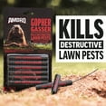 thumbnail image 6 of Amdro Gopher Gasser Spray 6 Pk of 0.75oz Pest Killer, 6 of 14