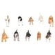thumbnail image 4 of Figuras 10PCS Mini Figuras De Perro Juego De Juguetes Pintado A Mano Simulación De Plástico Figuras De Cachorros Juego, 4 of 7