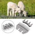 thumbnail image 2 of 13 Tooth Sheep Blade Goats Shears Clipper Cutter Convex Comb Scissor Spare Parts, 2 of 5