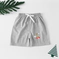thumbnail image 3 of ZHANGDER 3 Pack Baby Boy Shorts Casual Elastic Waist Soft Clothes for Summer Daily with Drawstring, 18M-6Y, 3 of 8