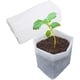 thumbnail image 2 of Bolsas de vivero de plantas no tejidas, contenedor de macetas para vegetales, flores, árboles jóvenes, cultivo de plantas, 100 Uds., 2 of 5
