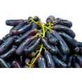 thumbnail image 2 of 5 *Seeds BLACK FINGER GRAPE Vitis Viniferia Fruit Vine Seeds, 2 of 9