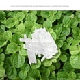thumbnail image 2 of 100g Pure Natural Menthol Crystals Premium Menthol Crystals for Aromatherapy, 2 of 5