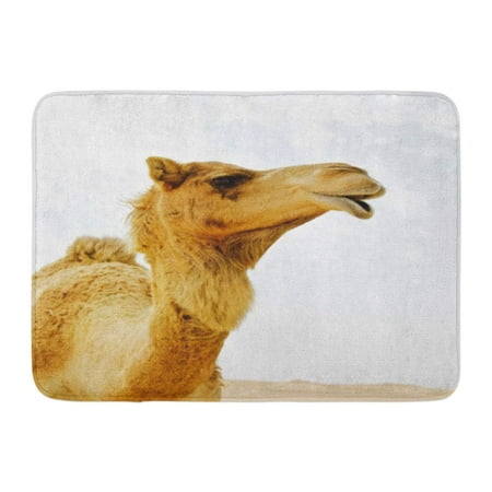 Camel Lights Cigarette - GODPOK Arabian Looking Up at Wild Dromedary Camel in The Desert with Light Blue White and Hint of Sand Dunes Sky Rug Doormat Bath Mat 23.6x15.7 inch