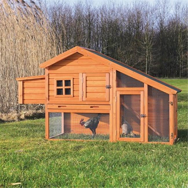 Chicken Coop With A View