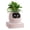 Blush, variant on PLANTSIO Smart pet Planter Robot Guidance on Plant Care with Emojis, Adorable Plant Companion with Rich Gesture Interaction, Neat Desk Setup Gift (White)