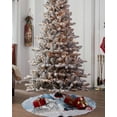 thumbnail image 4 of Blue Gnomes Christmas Christmas Tree Skirt 48 Inches Large Christmas Skirt Tree, Xmas Tree Birds Winter Snowflake Tree Skirt Christmas Decorations for Fireplace Party Holidays Indoor Outdoor, 4 of 7