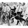 thumbnail image 2 of Police Dog Attacking An African American Man History (24 x 18), 2 of 2
