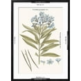 thumbnail image 5 of Art.com Bashful Blue Florals III Art Print by John Miller, Black Frame Wall Art, 21" x 29", 5 of 5