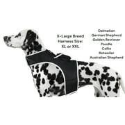 Mini Pet Realtime Tracker Advanced GPS Phone Tracking with Text Alerts Size:XL