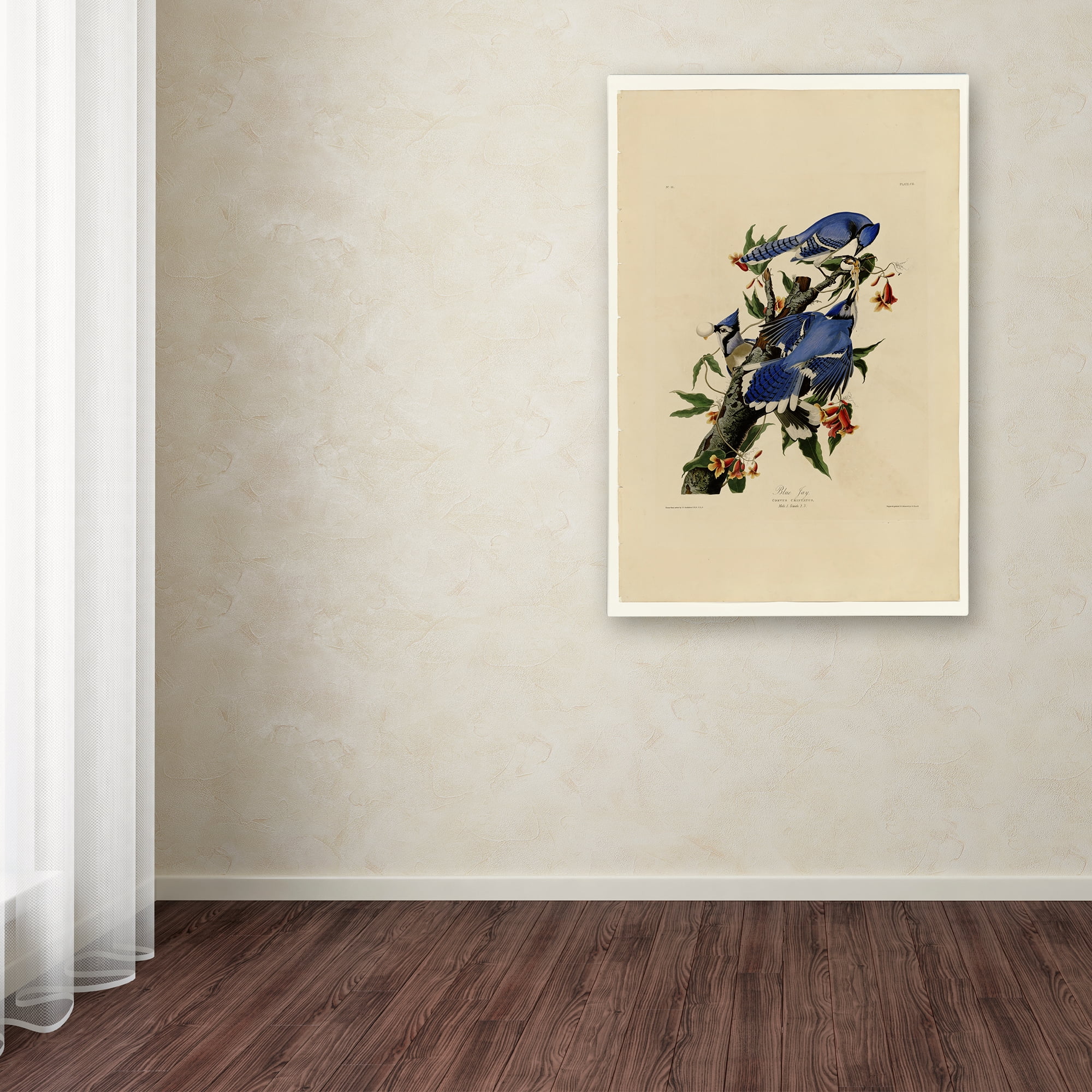 Audubon 'Blue Jayplate 102' Canvas Art