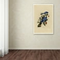 thumbnail image 3 of Audubon 'Blue Jayplate 102' Canvas Art, 3 of 3