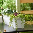 thumbnail image 5 of The HC Companies 24" Window Flower Box w/Removable Saucer, White (12 Pack), 5 of 12
