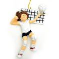 thumbnail image 1 of Ornament Central OC-087-FBR Volleyball Player Ornament, 1 of 3