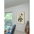 thumbnail image 5 of Marmont Hill "Honeyberry" Framed Painting Print, 5 of 5