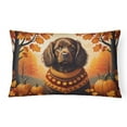 thumbnail image 3 of Carolines Treasures DAC1071PW1216 16 x 12 in. Unisex Sheltie Fall Fabric Decorative Pillow, 3 of 45
