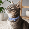 thumbnail image 4 of Vibrant Life Break-Away Adjustable Cat Collar, Blue, 4 of 4