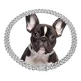 thumbnail image 1 of Alainzeo Collar De Cadena De Plata Para Perro, Collar De Per, 1 of 6