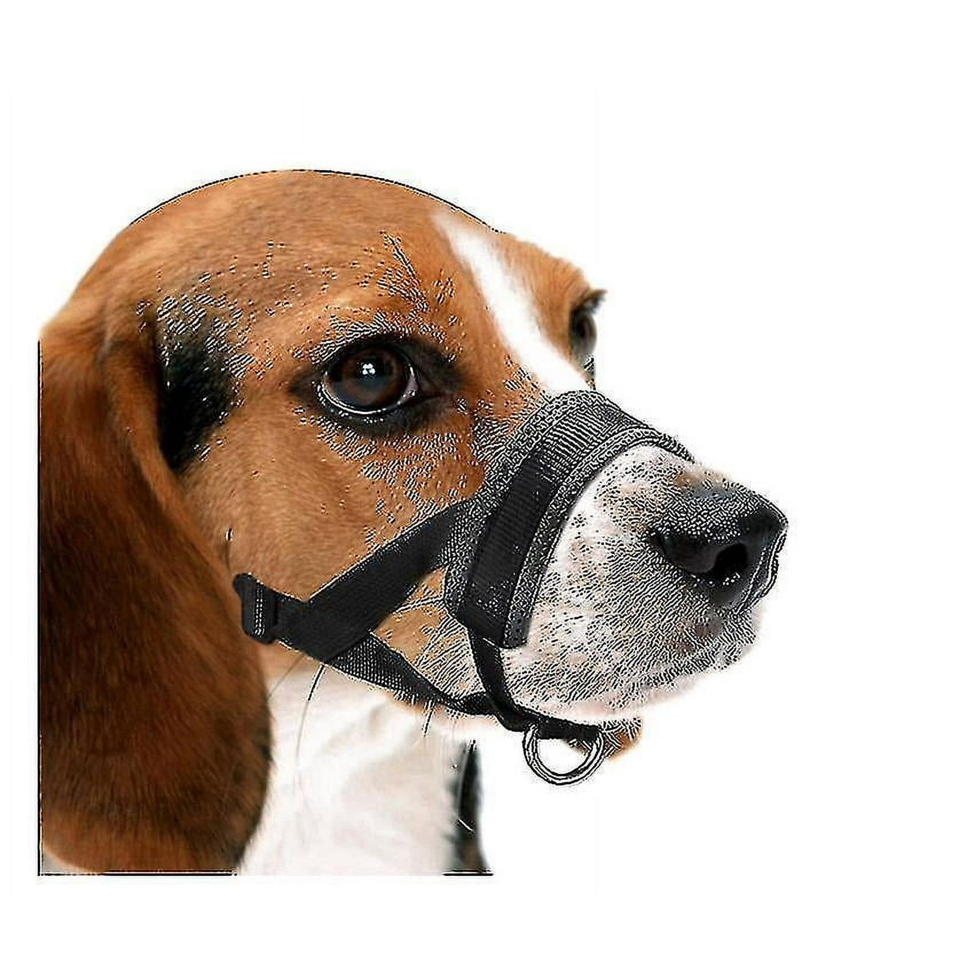 Gentle muzzle sales