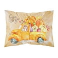 thumbnail image 1 of Carolines Treasures CK2615PILLOWCASE Fall Harvest Cavapoo Fabric Standard Pillowcase, 1 of 2