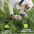 thumbnail image 4 of Juguete para perros Hyper Pet Bumpy Palz que chirría con pelota hinchable, 4 of 17
