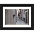 thumbnail image 1 of Ayer, Ali 32x23 Black Ornate Wood Framed with Double Matting Museum Art Print Titled - Dantel Street Cat, 1 of 4