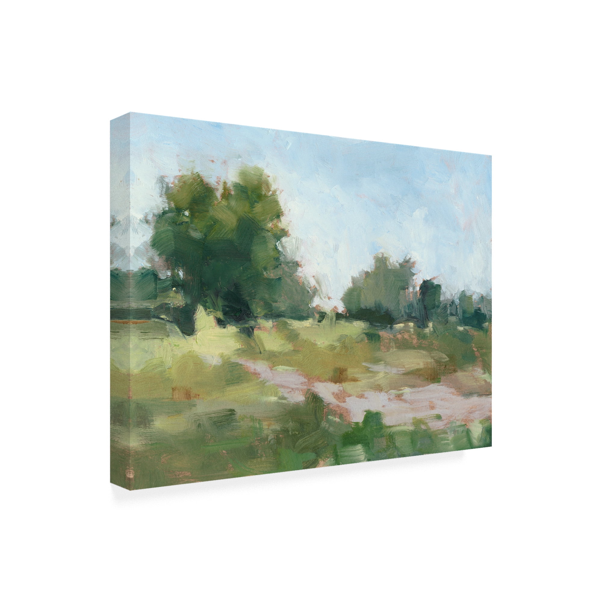 Trademark Fine Art 'Beaten Path I' Canvas Art by Ethan Harper
