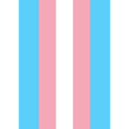 thumbnail image 1 of Toland Home Garden Transgender Pride 28 x 40 Inch Decorative Pink Blue White Stripe Support House Flag, 1 of 1