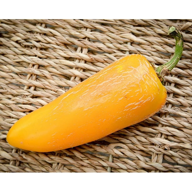 Giant Yellow Jalapeno Pepper Premium Seeds Hottest in The World