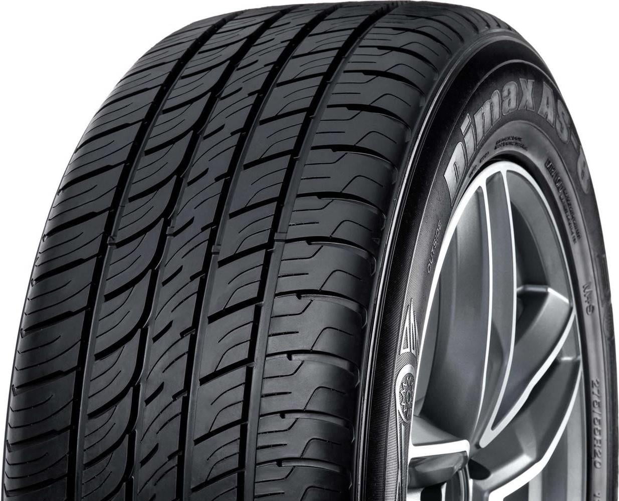 Radar Dimax AS-8 215/50 17 Tire