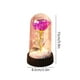 thumbnail image 3 of Decoración del hogar, regalos de rosas eternas para mujeres, regalos de cumpleaños para mamá, rosa iluminada en cúpula de cristal, regalos de rosas eternas para el Día de la Madre, regalos de rosas pa, 3 of 6