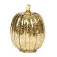 thumbnail image 6 of Fall Mercury Glass Light up Pumpkin Decor Fall Decoration for Home Thanksgiving Lamps for Festive Decoration Halloween Decorations Starry Night Pumpkins Tabletop Centerpiece Fall Home Decor, 6 of 10