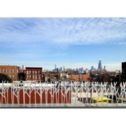 Bird-X Original Clear Plastic Bird Spikes Permanent Bird Repellent 100 Feet Pigeons Starlings Sparrows Seagulls