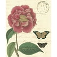 thumbnail image 2 of Vision Studio 12x14 Gold Ornate Wood Framed with Double Matting Museum Art Print Titled - Vintage Floral III, 2 of 4