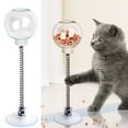 best cat toys for bored indoor cats kitten toys interactive dog