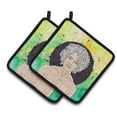 thumbnail image 1 of Carolines Treasures BB7315PTHD Paire de Porte-Pots Signe Aquarius, 1 of 3