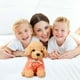 thumbnail image 1 of Teissuly Cute Puppy Plush Toy Doll Teddy Dog Rag Doll Cute Trumpet Simulation Doll Teissuly WER202312027409, 1 of 3