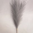 thumbnail image 3 of Grande Falso Gris Pampas Hierba 5 Tallos Extra Esponjoso Falso 70cm Ramo De Flores De Plumas Sala De Estar Decoración Del Hogar Boho Decoración Del Hogar Jarrón Alto Mesa Flor Boda, Gris JAMW Sencillez, 3 of 5